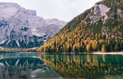 Autumn trees and mountain reflecting on calm lake