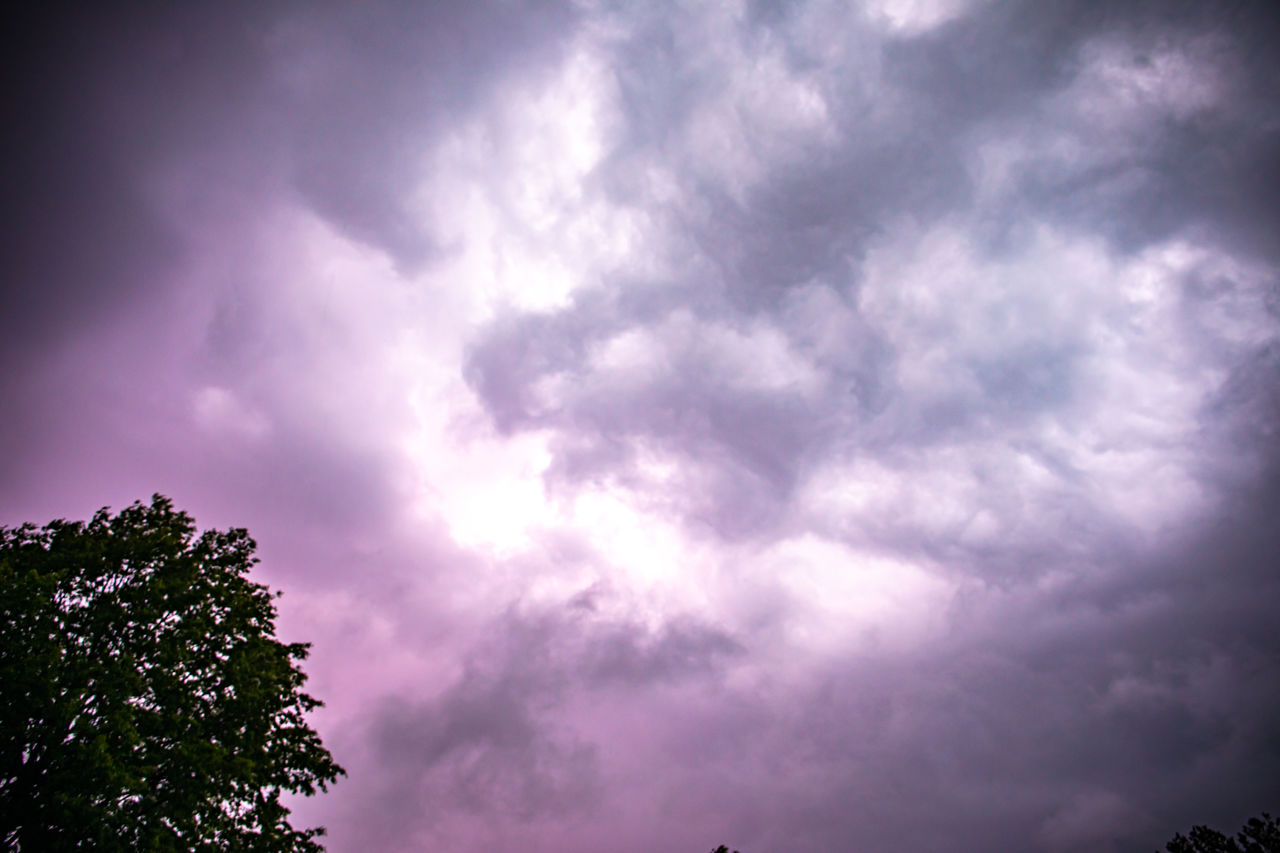 sky, cloud, tree, beauty in nature, storm, darkness, thunderstorm, plant, nature, thunder, dramatic sky, storm cloud, scenics - nature, environment, cloudscape, no people, low angle view, overcast, silhouette, outdoors, purple, tranquility, dark, awe
