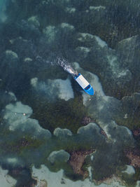 Maldives, kaafu atoll, himmafushi, aerial view of motorboat sailing across coastal water