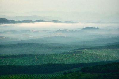 Aerial view of misty morning at highlands area in asahan, melaka, malaysia