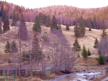 Scenic view of mountains