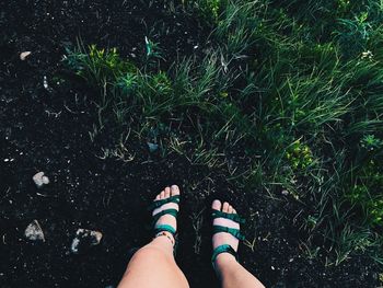 Low section of woman standing on grass