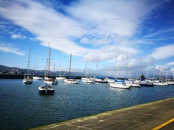 Sailboats in sea