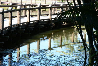 Reflection of lake in water