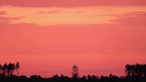 Low angle view of trees against sky during sunset