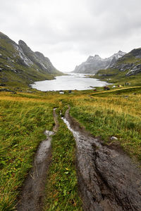 Panoramic view of hiking trail leading to bay at water surrounded by mountains in lofoten norway.