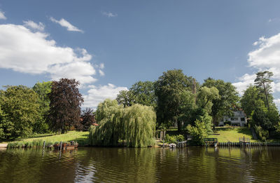 Trees by lake against sky