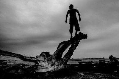 Rear view of man standing on driftwood at beach against sky