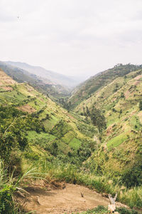 environment