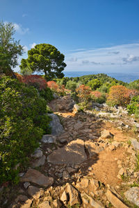 Scenic view of rocks by trees against sky