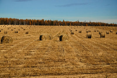 Hay bales on field against sky