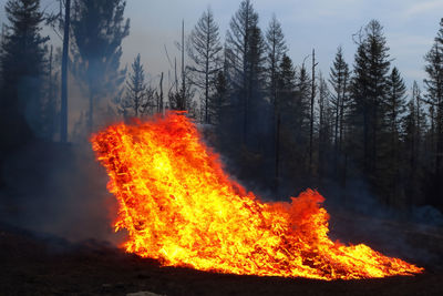 fire