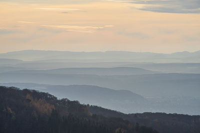 View over an autumn forest in the light of the evening sun. november scene.