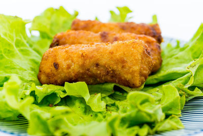 Close-up of spring rolls on lettuce