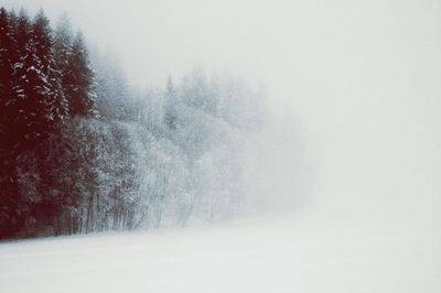 Scenic view of snow covered landscape