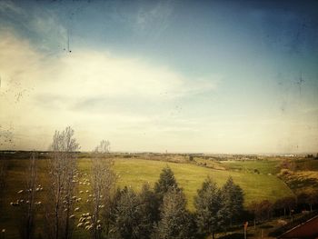 Scenic view of landscape against sky