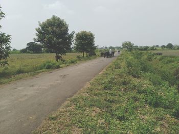 Road amidst field against sky