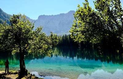 Scenic view of lake by trees against sky