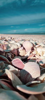 Close-up of pebbles on beach against sky