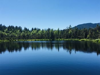 Scenic view of lake against clear blue sky