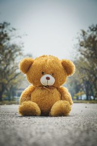 Close-up of stuffed toy on tree against sky