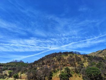 Mountain regrowth after fire against blue sky rebirth