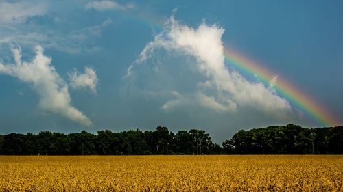 Scenic view of field against cloudy sky