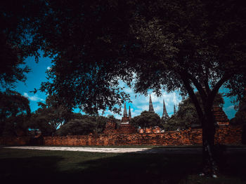 Trees by building against sky