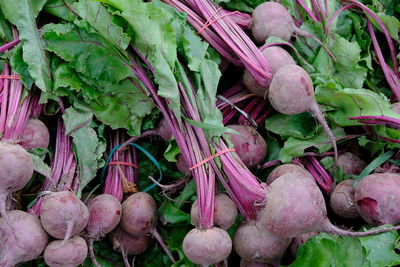 Close-up of purple for sale in market