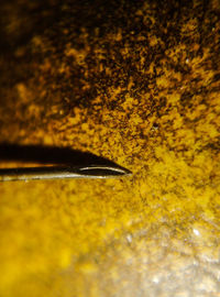 Close-up of yellow water