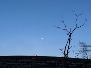 Low angle view of bare tree against blue sky