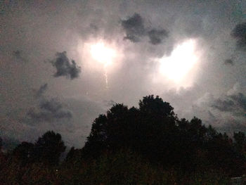 Low angle view of tree against sky during sunset