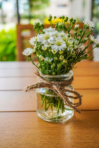 Close-up of potted plant on table