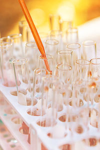 Close-up of pipette adding sample in test tubes