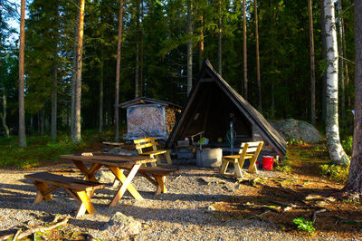 Wooden table and trees in forest