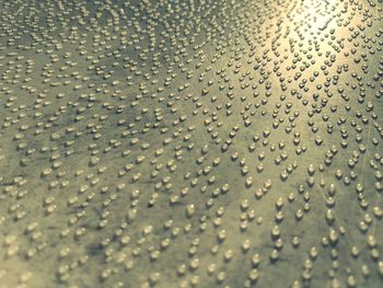 Full frame shot of raindrops on glass window