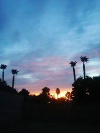 Silhouette of trees against dramatic sky