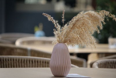 Close-up of food on table