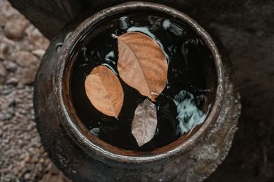 Dried leaves floating on the water in the pottery