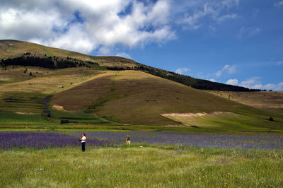 grassland