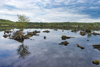 Reflection of cloudy sky on calm lake