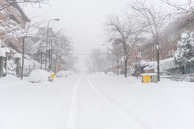 Snow covered road amidst trees in city