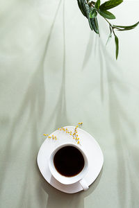 Minimalistic spring still life. white cup of black coffee, long shadows on a pastel green background