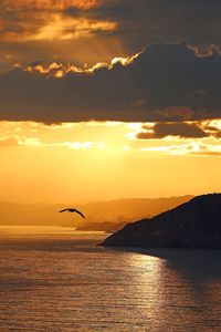 Silhouette bird flying over sea against cloudy sky during sunset