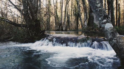 River flowing through rocks