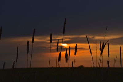 Silhouette landscape against sky during sunset