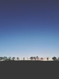 Silhouette trees on field against clear blue sky