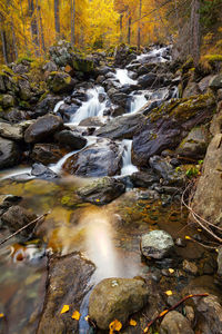 Stream flowing through rocks in forest