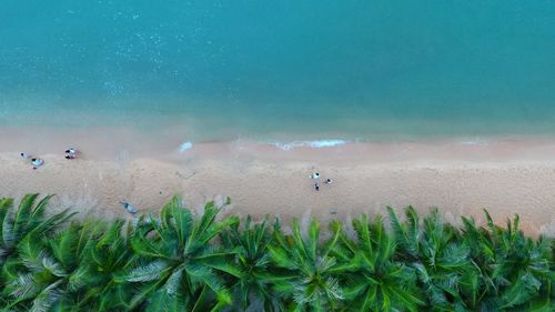 High angle view of people at beach by sea