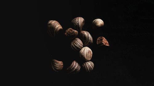 Close-up of bread against black background